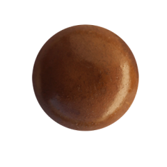 121-Avellana
